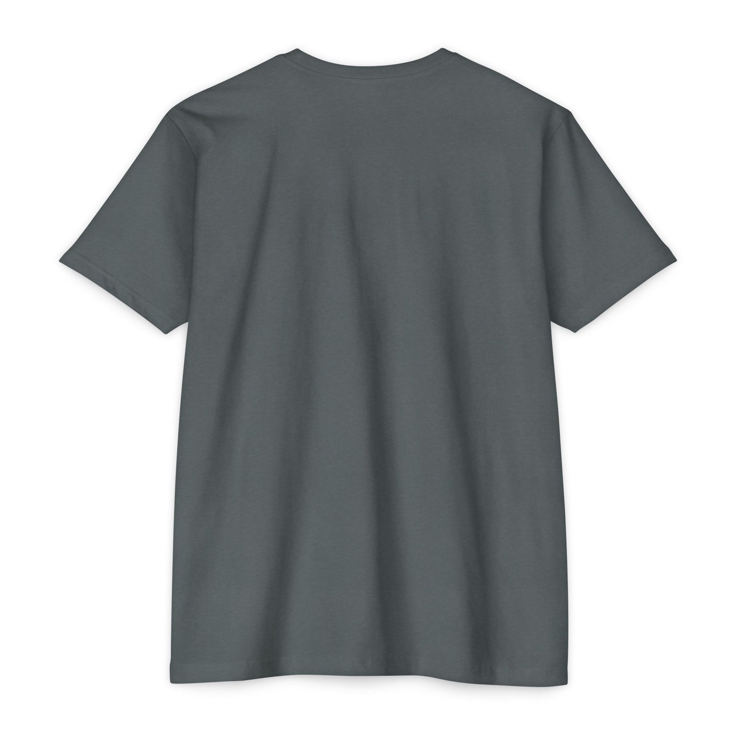Cute Coffee Raccoon Cartoon T-Shirt — Cute Animal Graphic Tee